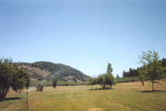 MenghiniWineryScenery1