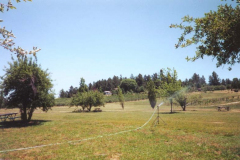 MenghiniWineryScenery2