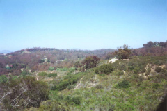 SanDieguitoParkScenery1