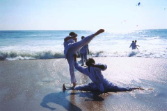 KarateBeachTrainingJustinandMichael